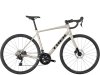Trek Domane AL 4 52 Gloss Supernova